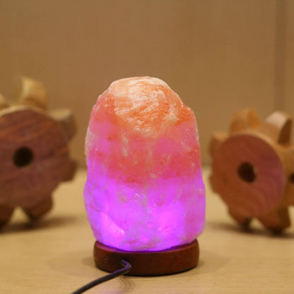 BUX Himalayan Natural Salt USB Lamp multi Color