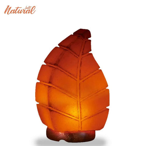 BUX Himalayan Leaf Shape USB Lamp Multi Colros