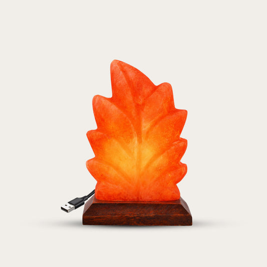 Bux Himalayan Leaf Shape USB Lamp Multi Colors