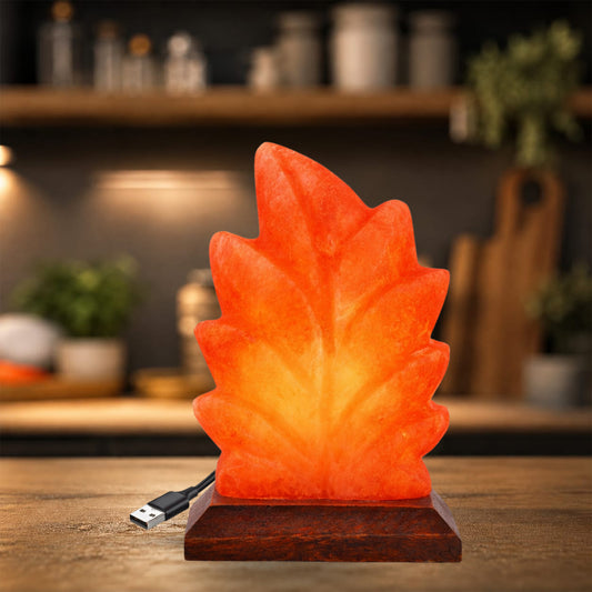 Bux Himalayan Leaf Shape USB Lamp Multi Colors