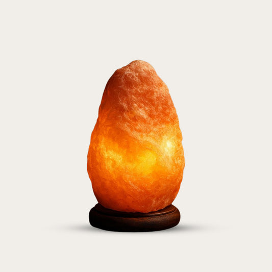 Bux Himalayan Natural Salt USB Lamp multi Color